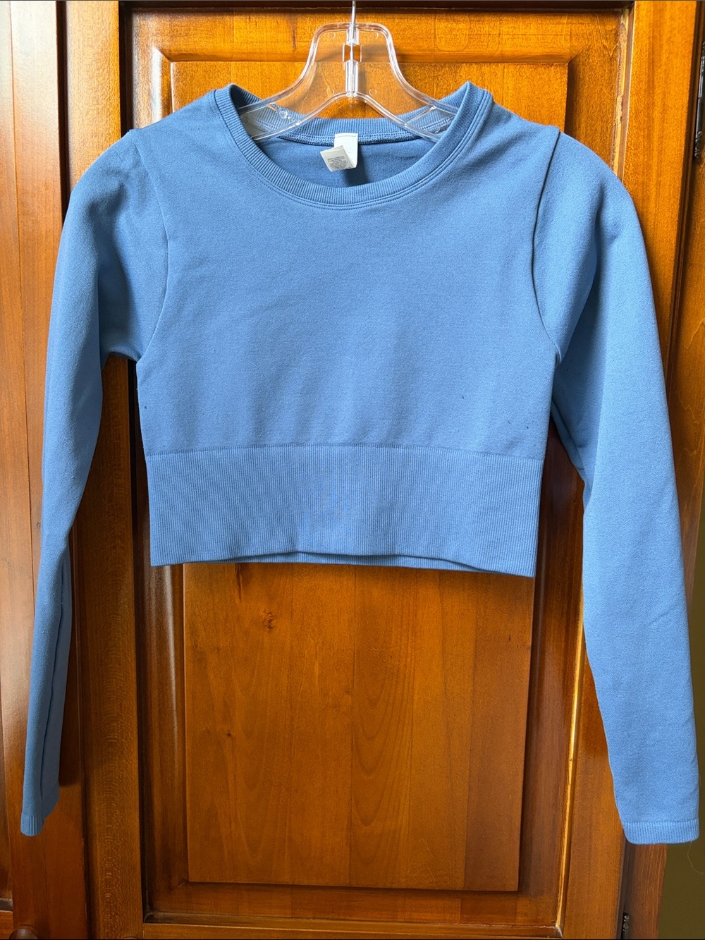 Blue Offline by Aerie Long Sleeve Crop Top